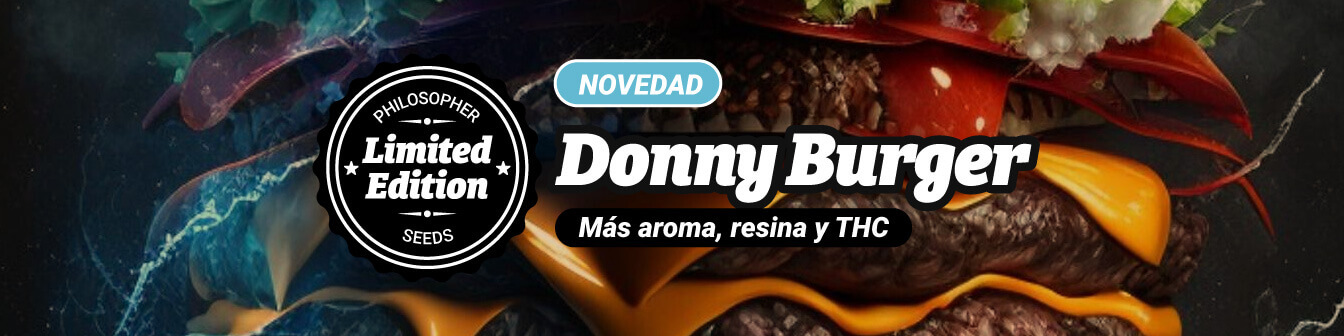 Donny Burger