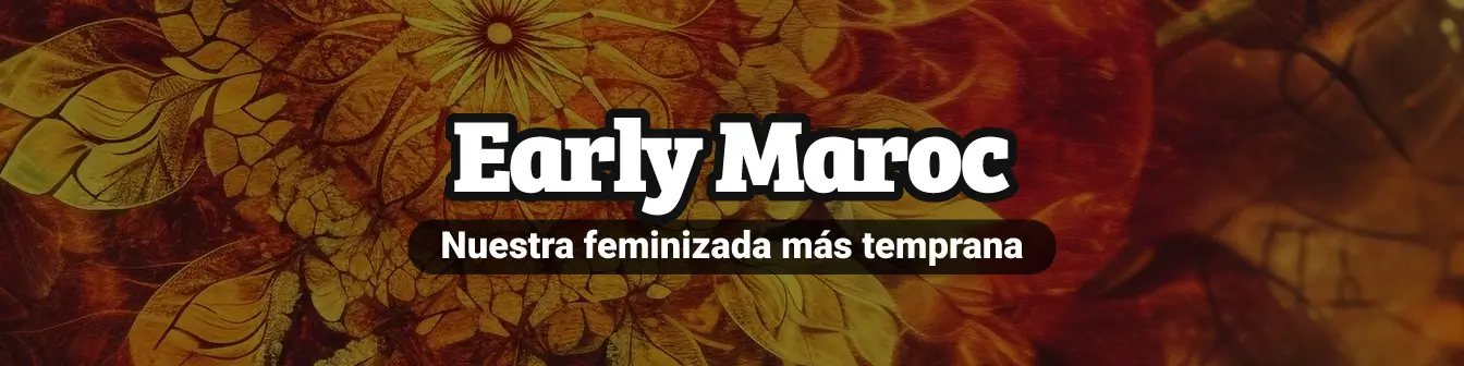 Early Maroc Packs 3,5 i 10