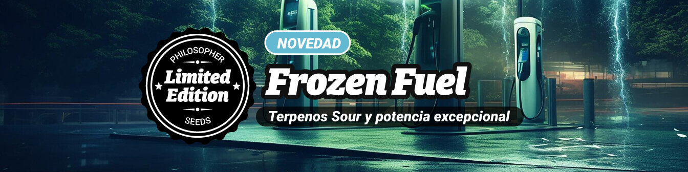 Frozen Fuel