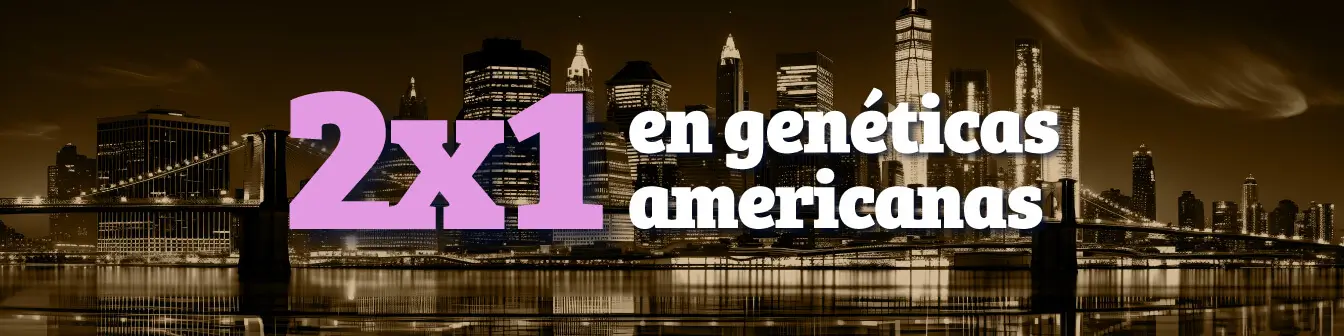 Genéticas americanas 2x1