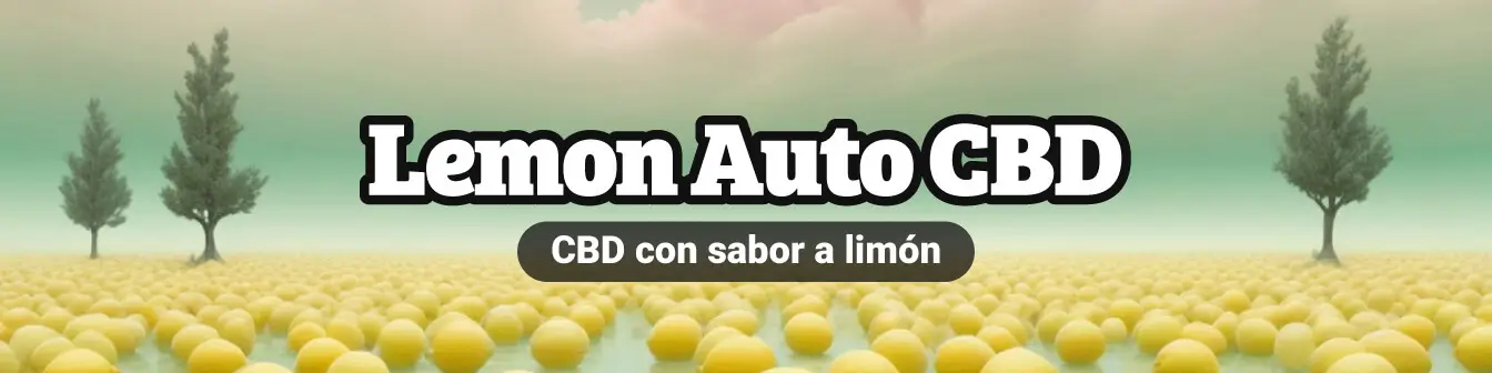 Lemon Auto CBD