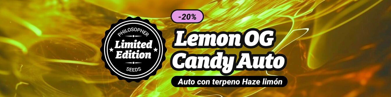 Lemon og candy auto 23