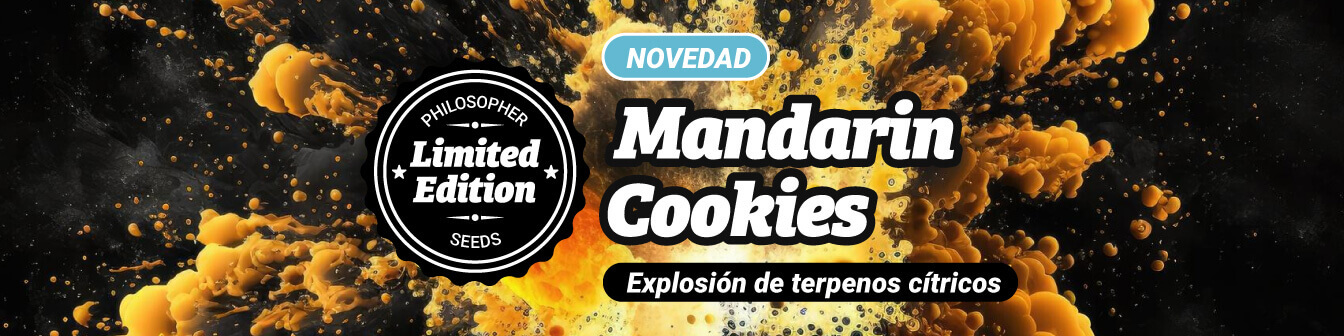 Mandarin Cookies 23