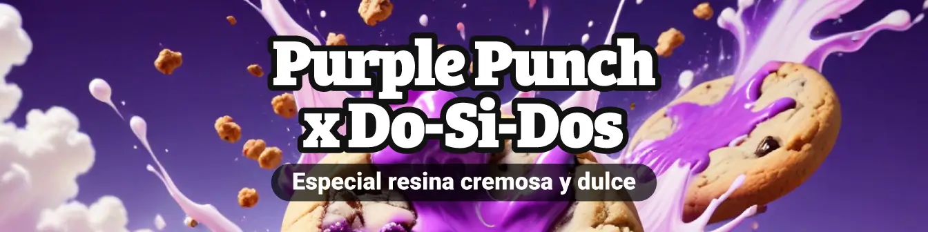 Purple Punch x Do-Si-Dos