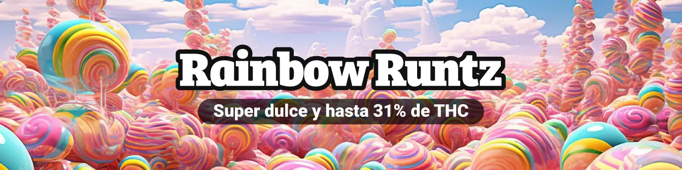 Rainbow Runtz Philo 24