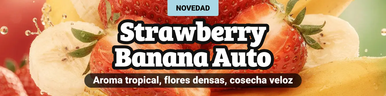 Strawberry Banana Auto