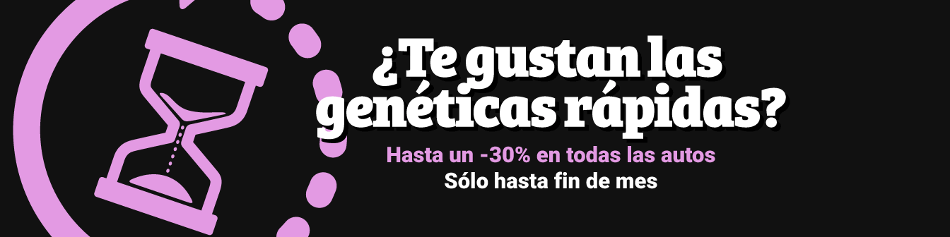 Todas autos con dto 23