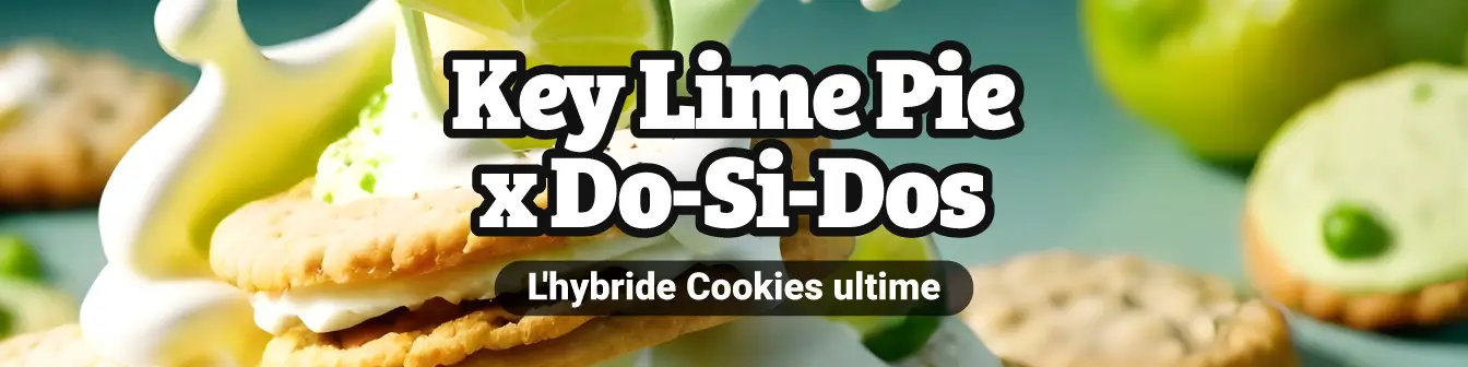KEY LIME PIE