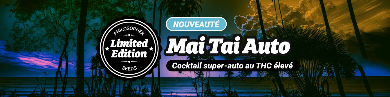 Mai Tai Auto