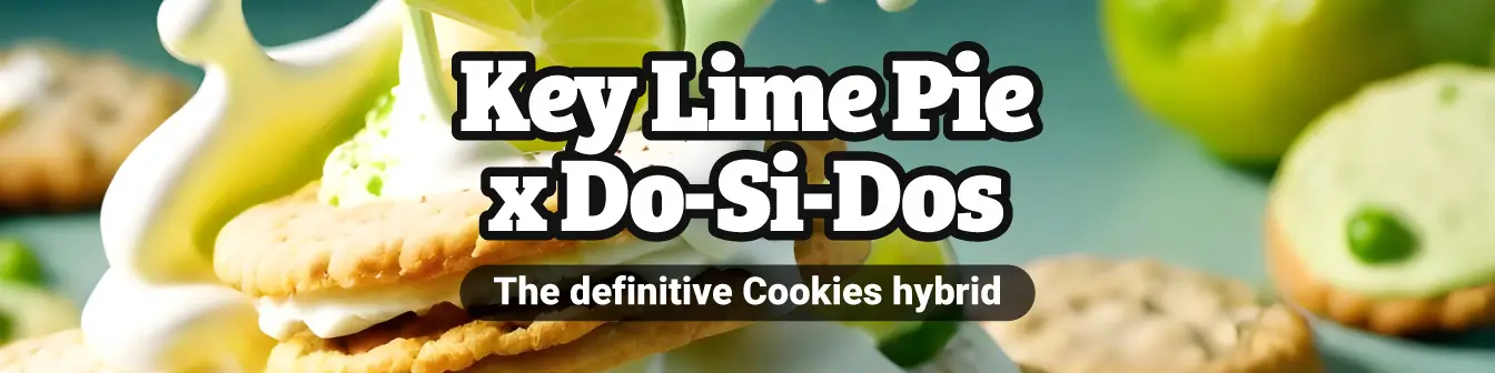 KEY LIME PIE