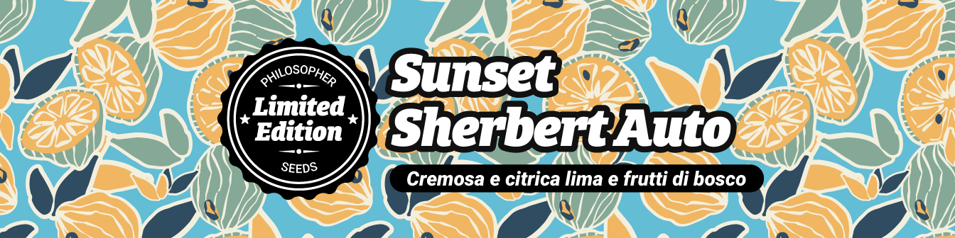 Sunset Sherbert Auto