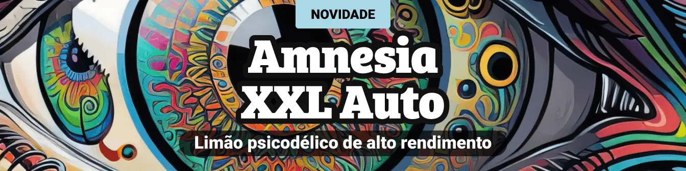 Amnesia XXL auto