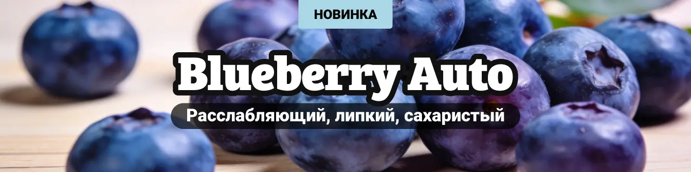 Blueberry Auto