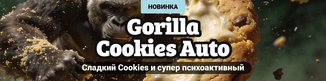 Gorilla Cookies Auto